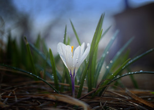 Horoskop na 9. týden (1. 3. 2021 - 7. 3. 2021)