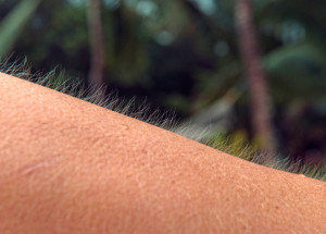 Roste vám na jednom místě vašeho těla dlouhý chlup? Poznejte tajemství, proč to tak je