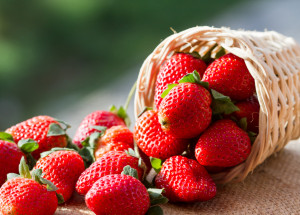 Kdy vysadit jahody, abyste se těšili z bohaté úrody: Ideálně v dubnu nebo květnu