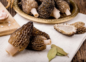 Smrž obecný je velmi chutnou jarní houbou. Pozor na jeho záměnu s jedovatým ucháčem