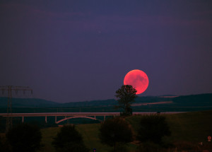 Květnový superúplněk ve středu 26. května nabídne velkou podívanou. Měsíc dostane načervenalou barvu