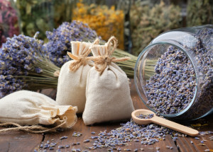 Jak se zbavit molů ve skříni a ve spíži? Pomohou nejen rady našich babiček