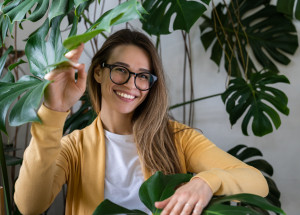 Monstera je oblíbenou pokojovou rostlinou moderních interiérů. Jak ji pěstovat, aby byla krásná?