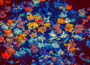 Velký měsíční horoskop na říjen 2021 pro každé znamení