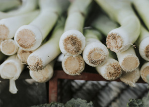 Pórek je elixírem zdraví: Tato chutná zelenina má spoustu zdravotních výhod