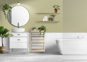 Nejlepší pokojové rostliny do koupelny: Milují vlhkost a nevadí jim nedostatek světla