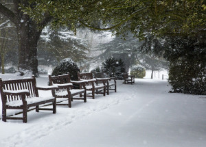 Horoskop na 49. týden (13. 12. 2021 - 19. 12. 2021)