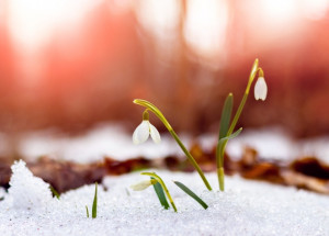 Pranostiky na Hromnice 2. února a na svatého Blažeje 3. února předpoví, jaké bude počasí, úroda a zda budete zdraví