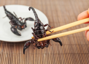 Nejbizarnější a nejděsivější čínské jídlo: Polévka z hadího masa a celého škorpióna