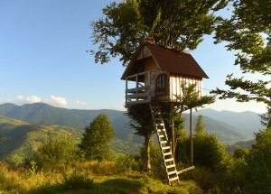 Minimalistická chata uprostřed přírody vypadá jako domeček na stromě. Osloví vás svou jednoduchostí