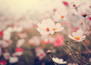 Horoskop na 9. týden (28. 2. 2022 - 6. 3. 2022)