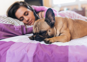 Spíte s vašimi pejsky v jedné posteli? Potom byste měli vědět tohle