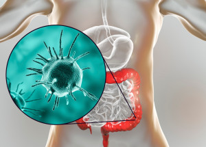 Paraziti: Jak se jimi můžeme nakazit a jak poznat, že je máme v organismu?