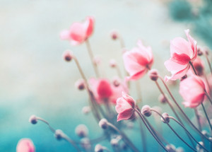 Horoskop na 11. týden (13. 3. 2022 - 20. 3. 2022)