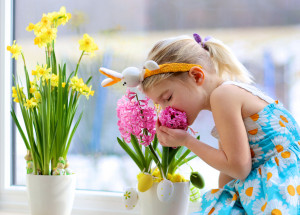 Hyacint jako kvetoucí jarní dekorace: Jak se o něj starat, aby byl stále krásný