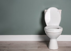 10 věcí, které byste neměli splachovat do záchodu