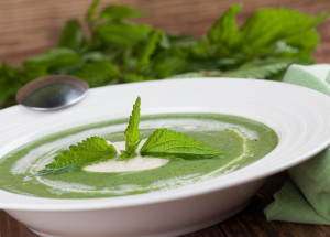 Recept na kopřivovou polévku dvakrát jinak. Klasicky i jako krém