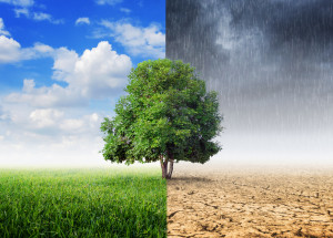 Pohlaví dítěte či bolest hlavy? I tohle dokáže ovlivnit změna počasí