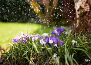 Horoskop na 16. týden (18. 4. 2022 - 24. 4. 2022)