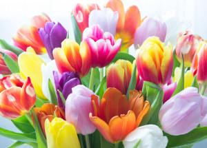 Horoskop na 17. týden (25. 4. 2022 - 1. 5. 2022)