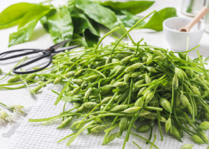 Poupata medvědího česneku jsou skvělá do salátů, míchaných vajec nebo jako kapary