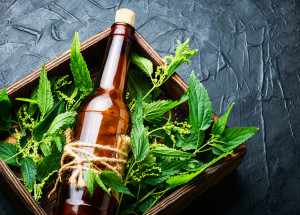 Recept na kopřivový sirup za studena: Jaké má účinky a jak dlouho si na něm můžete pochutnávat?