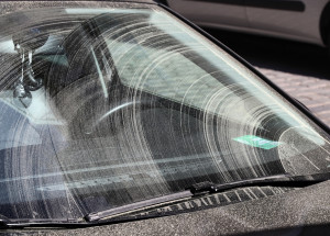 Žluté nánosy pylu zahalily Česko. V roce 2022 je pylu víc než obvykle