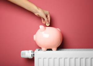 20 tipů, jak ušetřit za elektřinu: Snižte spotřebu elektrické energie ve své domácnosti a ulevte peněžence