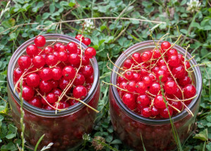 Zavřeniny: Tento způsob uchování ovoce bez zavařování je bez cukrů i konzervantů