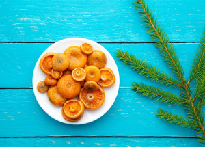 Ryzec smrkový patří k nejchutnějším houbám. Poznáte jej podle oranžového mléka a připravíte si z něj spoustu receptů