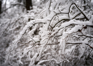 Horoskop na 5. týden (30.1. 2023 - 5. 2. 2023)