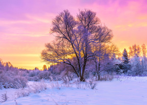 Horoskop na 6. týden (6. 2. 2023 - 12. 2. 2023)