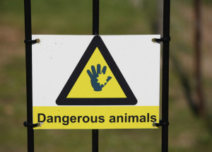 Seznam nebezpečných zvířat. Před těmito živočichy berte nohy na ramena