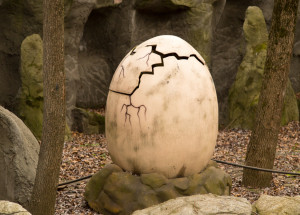 Farmář našel na svém pozemku obrovské vejce. Budete překvapeni, co bylo uvnitř