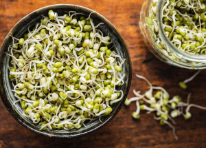 Staročeská pučálka patří k Velikonocům: Prozradíme, jak naklíčit hrách a jak udělat pučálku ve slané i sladké verzi