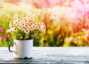 Horoskop na 16. týden (17. 4. 2023 - 23. 4. 2023)