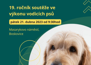 Soutěž ve výkonu vodicích psů „Cesta ve tmě“