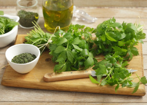 Libečkové maggi: Recept na skvělé zužitkování úrody libečku