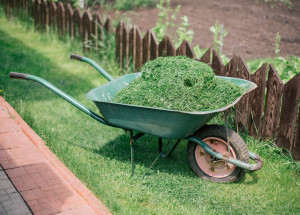Co s posekanou trávou? Ke kompostování je jí škoda
