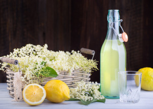Bezový sirup za studena: Vyzkoušejte recept na bezovou šťávu, která se nekazí