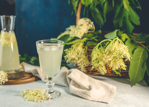 Bezová limonáda z květů je krásně šumivá. Vyzkoušejte chutný recept, který osvěží