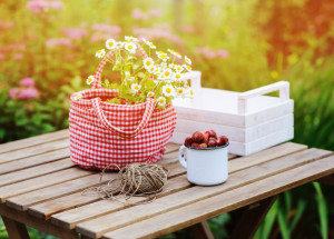 Horoskop na 25. týden (19. 6. 2023 - 25. 6. 2023)