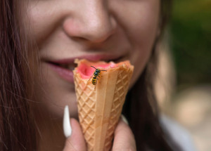 Chcete se zbavit dotěrných vos? Vyrobte si účinné odpuzovače