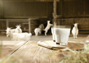 Klíšťová encefalitida z mléka? Ani toto riziko nepodceňujte, na Slovensku se 17 lidí nakazilo ze salašnických specialit