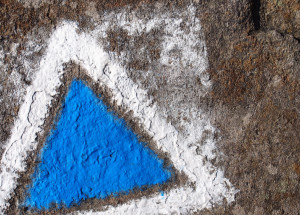 Modrý trojúhelník na stromě: Co znamená, když jej najdete v lese?