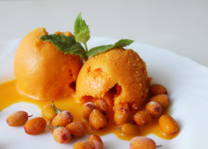 Rakytníková zmrzlina: Recept, který vás překvapí svou chutí