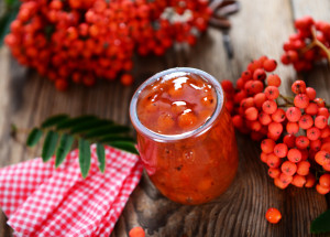 Jedlé jeřabiny sladkoplodé jsou podzimní delikatesou: Jak je poznáte a které recepty z jeřabin stojí za vyzkoušení?