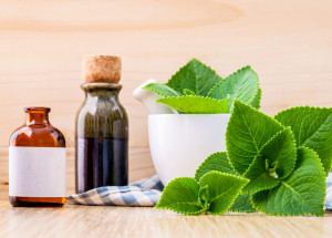 Kubánské oregano neboli rýmovník vám pomůže s ucpaným nosem i kašlem