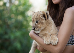Influencerka Maru Rosecká rozzuřila fanoušky podporou týrání zvířat. Nafotila ses se zdrogovaným lvem! vyčítají jí lidé