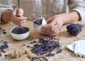 Sušená levandule má spoustu použití. Pochvalovat si ji budete na desítky způsobů